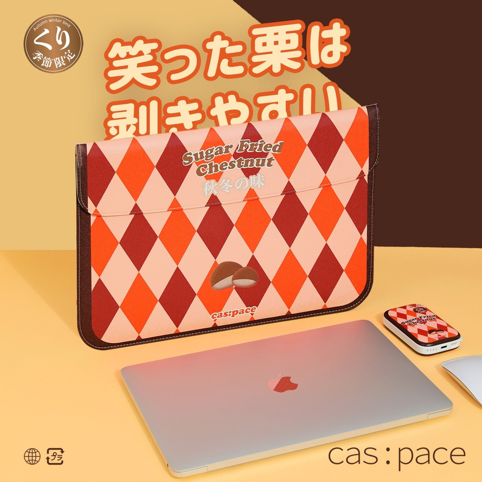 cas:pace 22S/S 「秋冬の栗」パソコンバッグ - cas:pace 殼空間